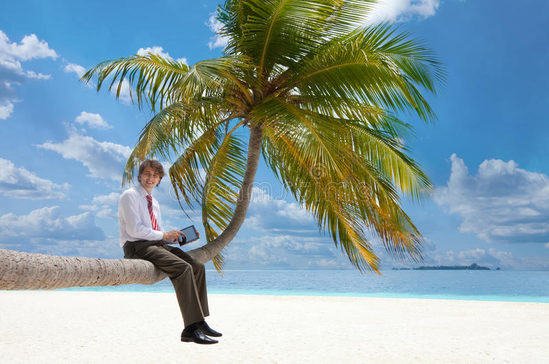 manager-tablet-pc-sitting-palm-tree-22854149.jpg